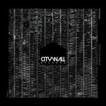 Artwork voor "Embracing Chaos"