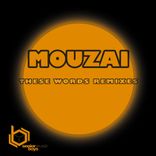 Artwork voor "These Words Remixes"