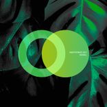 Artwork voor "Signal"