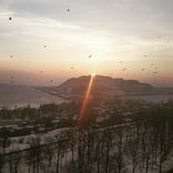 Portada para "Steps Vol.2"