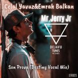 Artwork voor "Son Prova (Destiny Vocal Mix)"