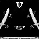 Artwork for "Salamander"