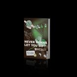 Artwork for "Never Gonna Let You Go"