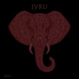 Artwork for "SYRU"