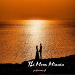 Portada para "The Moon Misses"