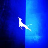 Artwork for "Difficult Reflection EP"