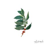 Artwork for "Malena/Closing"