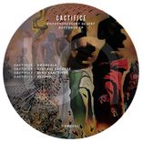 Artwork for "Phosphorescent Desert Buttons"