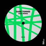 Artwork voor "Soul Rising"