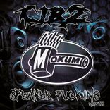 Artwork for "Speaker Fucking"