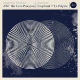 Artwork for "After The Love Processes"