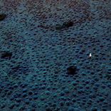 Artwork for "Sonder"