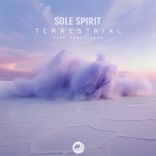 Artwork für "Terrestrial"