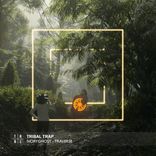 Portada para "Traverse"