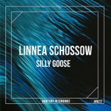 Artwork for "Silly Goose"