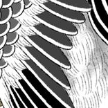 Artwork for "kotokin"