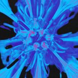 Portada para "Hold On"