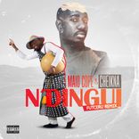 Artwork voor "Ndingui (Cheikna Remix)"