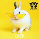 Artwork for "ZAEK"