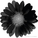 Artwork for "Two Years, Pt. 2"