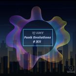 Artwork voor "Funk Evolutions #12"