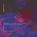 Artwork voor "Freeze Chucky"