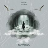 Portada para "Stalker"