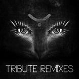 Portada para "Tribute Remixes"