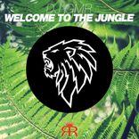Artwork voor "Welcome to the Jungle"