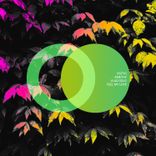 Artwork for "Feel My Love"