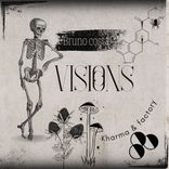 Artwork for "Visions"