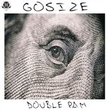 Portada para "Double Pam"