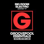 Artwork for "Big Room Electro (Summer '17)"