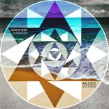 Artwork voor "Chamäleon"