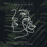 Portada para "What Do You Feel For Me (Remixes)"