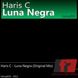 Artwork voor "Luna Negra"