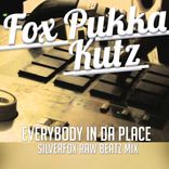 Portada para "Everybody In Da Place (Silverfox Raw Beatz Mix)"