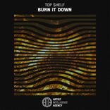 Artwork for "Burn It Down"