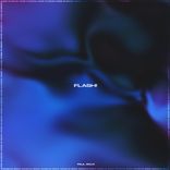 Portada para "Flash"