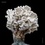 Artwork for "Consistência"