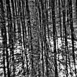 Artwork for "Morning Glory"