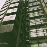 Artwork for "a purist"