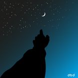 Artwork for "Yıldızlar Anlatsın"