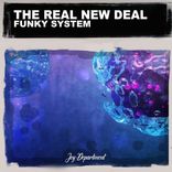 Artwork voor "Funky System"