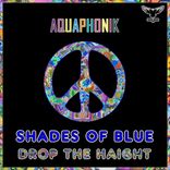 Artwork for "Shades of Blue / Drop The Haight"