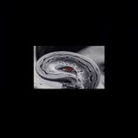 Artwork für "Serpent"