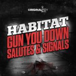 Artwork voor "Gun You Down / Salutes & Signals"
