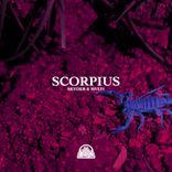 Artwork for "Scorpius"