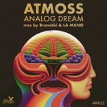 Artwork for "Analog Dream"