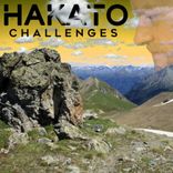Artwork for "Challenges"